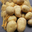 Pommes de terre MARABEL