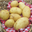 Pomme de terre Agata