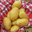 Pomme de terre Gourmandine
