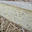 Fondant cumin