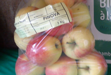 Pommes PINOVA