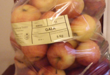 Pomme ROYALE GALA
