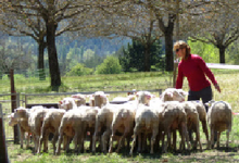 ferme Guilhot