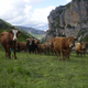 ferme de Pommerol