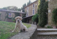 Ayme truffe, domaine de Bramarel