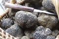 truffes fraîches au prix du domaine de Bramarel 