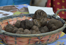  truffes fraîches
