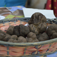  truffes fraîches