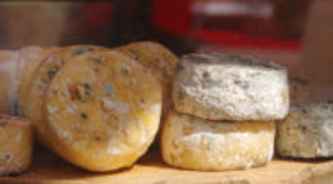 fromages de chèvre