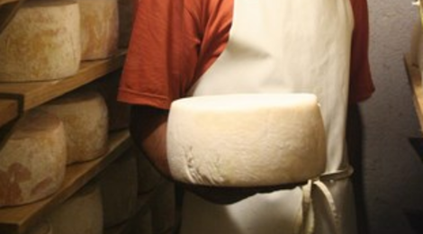 tomme de brebis