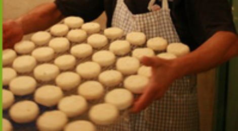 fromages de chèvre