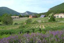 La ferme de Baume Rousse 