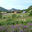 La ferme de Baume Rousse 