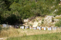 Miellerie et ruchers de l'Estellon 