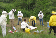 Apiculture Strohmaier 