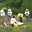 Apiculture Strohmaier 