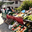 ferme des combiers
