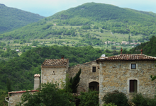 Domaine de la Belonne 