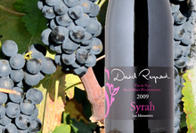 David Reynaud, Les vins de pays des collines Rhodanienne	Syrah