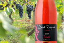 David Reynaud, Vin de France	Rosé de Syrah