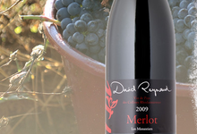 David Reynaud, Les vins de pays des collines Rhodaniennes	Merlot
