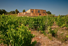 Domaine Viret
