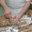 Biscuiterie de Provence 