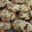 Florentins aux fruits secs