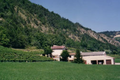 CAVE MARCEL PIERRE ET PATRICK, domaine le colombier