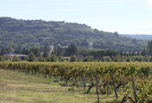 Domaine Almoric 