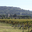 Domaine Almoric 