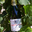 Patrick Lantheaume, clairette de Die
