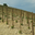 Domaine Philippe et Vincent Jaboulet 