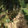 Domaine de la Ville Rouge 