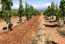 Domaine de la Ville Rouge 