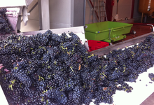 Domaine de la Ville Rouge 
