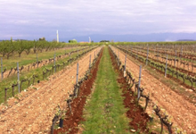 Domaine de la Ville Rouge 