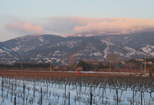 La Pellegrine