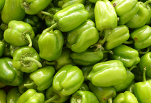 Poivron vert