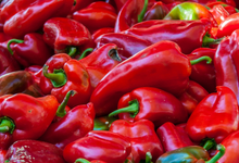 Poivron rouge