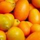 Kumquat