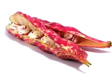 Haricots Coco