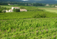 Domaine Rozel