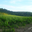 Domaine Rozel