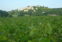 Domaine Rozel