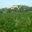 Domaine Rozel