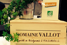 Domaine Vallot,  Domaine du Coriançon