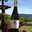 domaine Vallot, Côtes - du - Rhône  BLANC