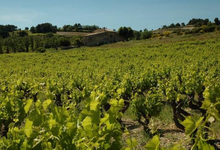 Domaine Le Pre Neuf