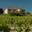 Domaine Le Pre Neuf